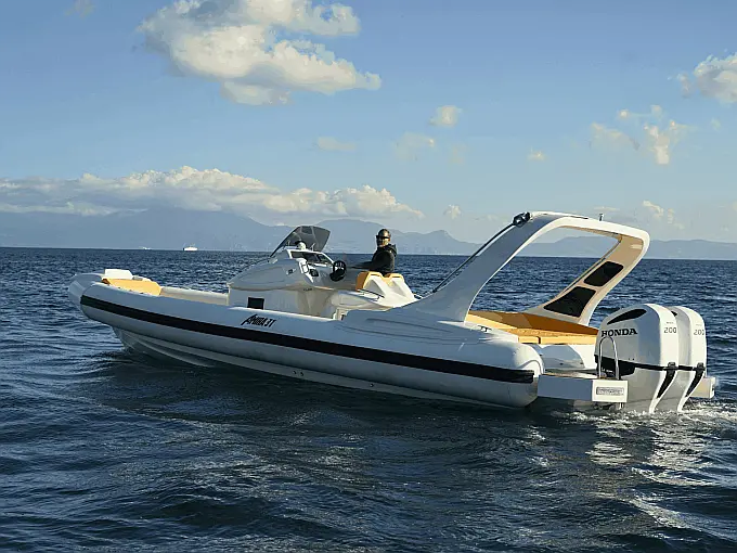 Amira 31